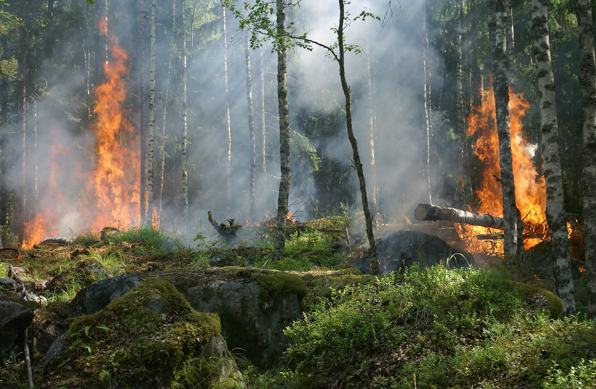 Высокая пожароопасность ожидается в Нижегородской области 26−29 апреля
