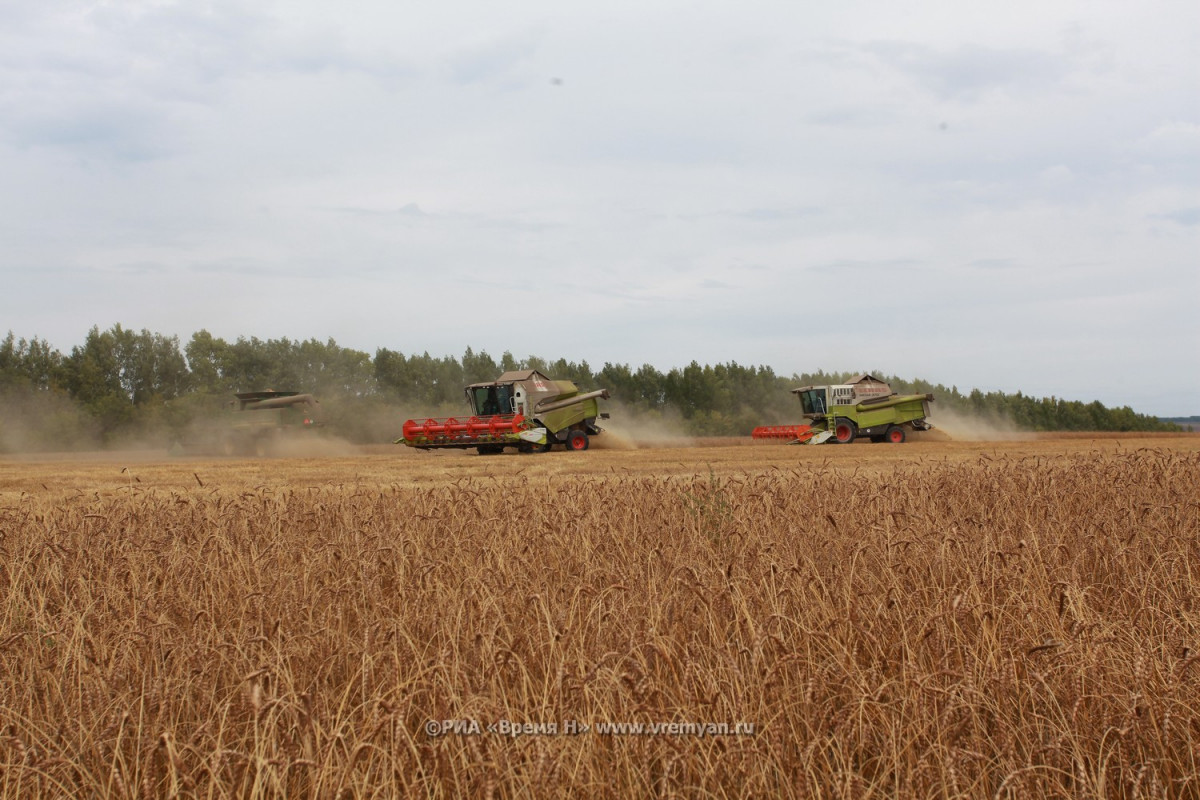 Нижегородские сельхозпредприятия получат 140 новых машин к уборочной кампании