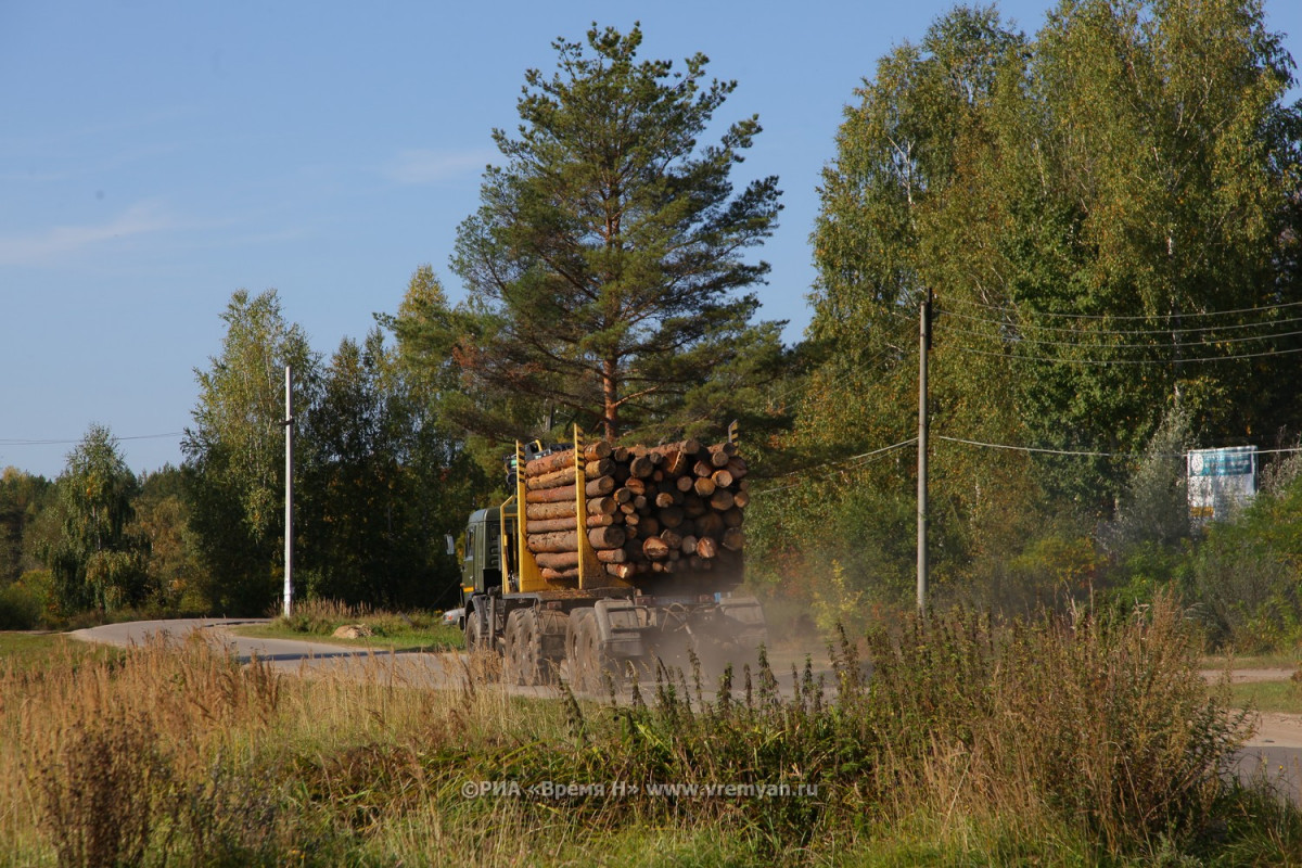 Нижегородская область вошла в двадцатку крупнейших регионов-лесозаготовителей