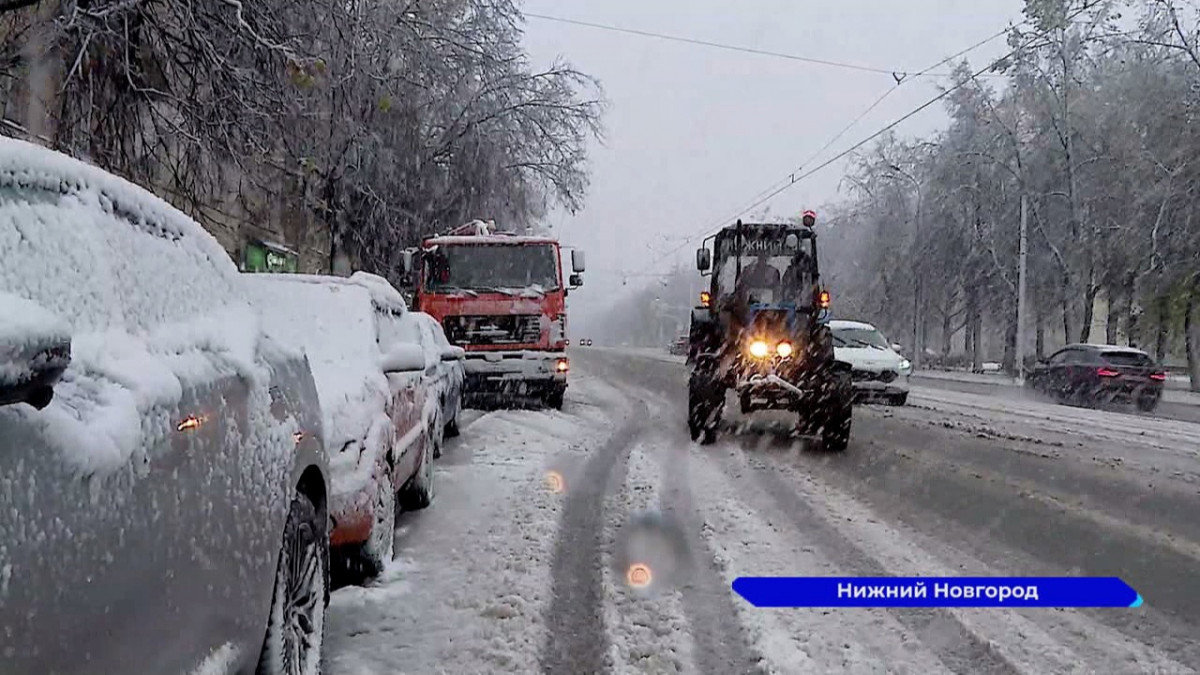 Более 500 деревьев упало из-за непогоды в Нижнем Новгороде