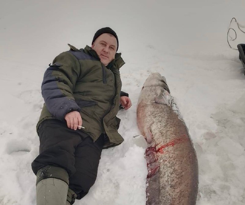 Сома весом 42 кг поймал рыбак в Городце