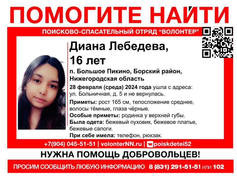 16-летняя Диана Лебедева пропала на Бору в Нижегородской области