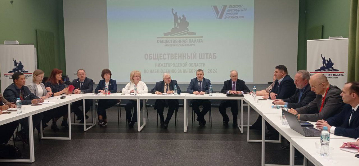Иностранные наблюдатели оценили организацию голосования в Нижегородской области