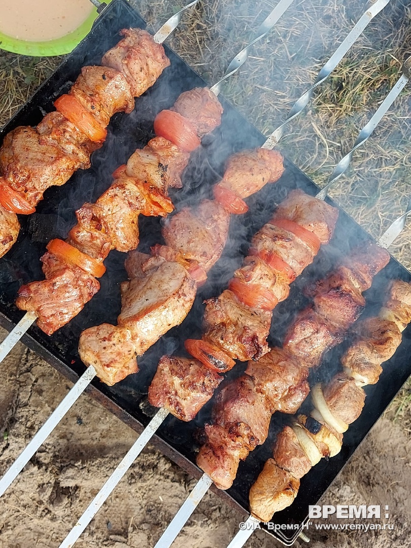 Шашлык из свинины и курицы чаще всего готовят в Нижнем Новгороде